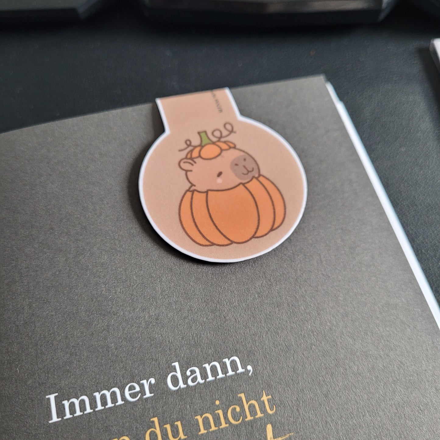 Lesezeichen Fall Capybara - magnetisch - 002