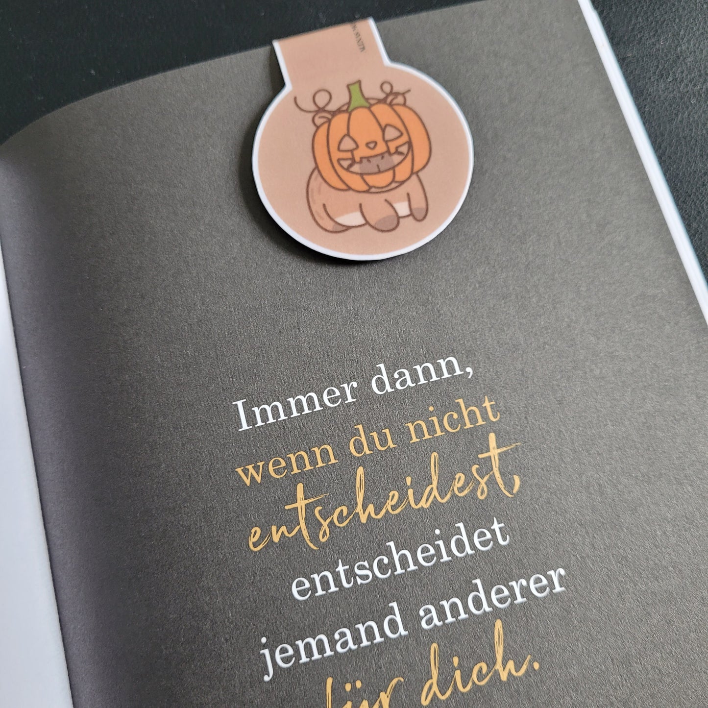 Lesezeichen Fall Capybara - magnetisch - 004