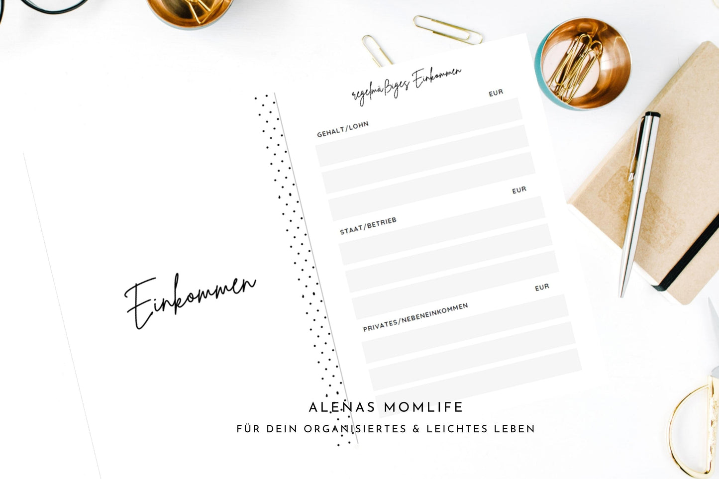 Haushaltsbuch/Budget Planer/Finanzplaner/Haushaltsgeld im Griff/116 Seiten/undatiert I UNGEBUNDEN + UNGELOCHT