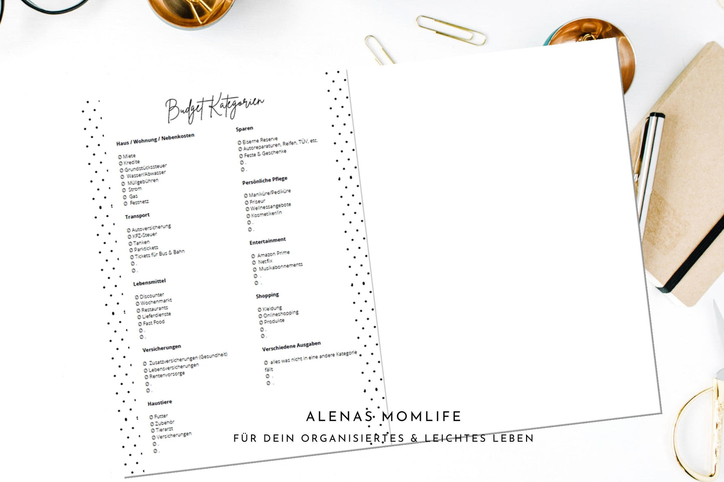 Haushaltsbuch/Budget Planer/Finanzplaner/Haushaltsgeld im Griff/116 Seiten/undatiert I UNGEBUNDEN + UNGELOCHT